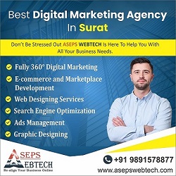 Digital Marketing Company in Surat